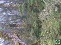 thn_NZ leden-unor 2006 301.jpg